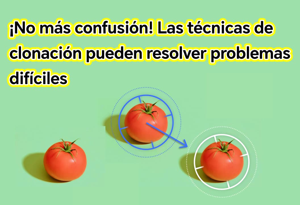 ¡Deja de intentarlo! Estos pocos consejos sobre funciones de clonación pueden resolver fácilmente el problema.